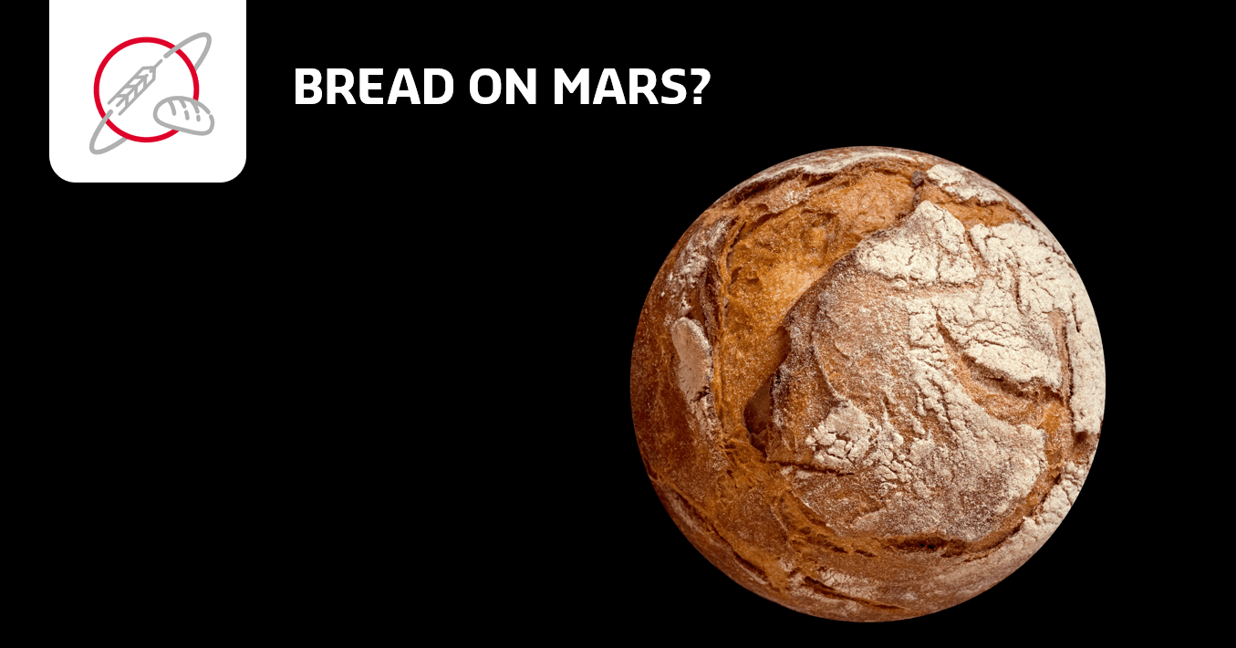 Space Bakery