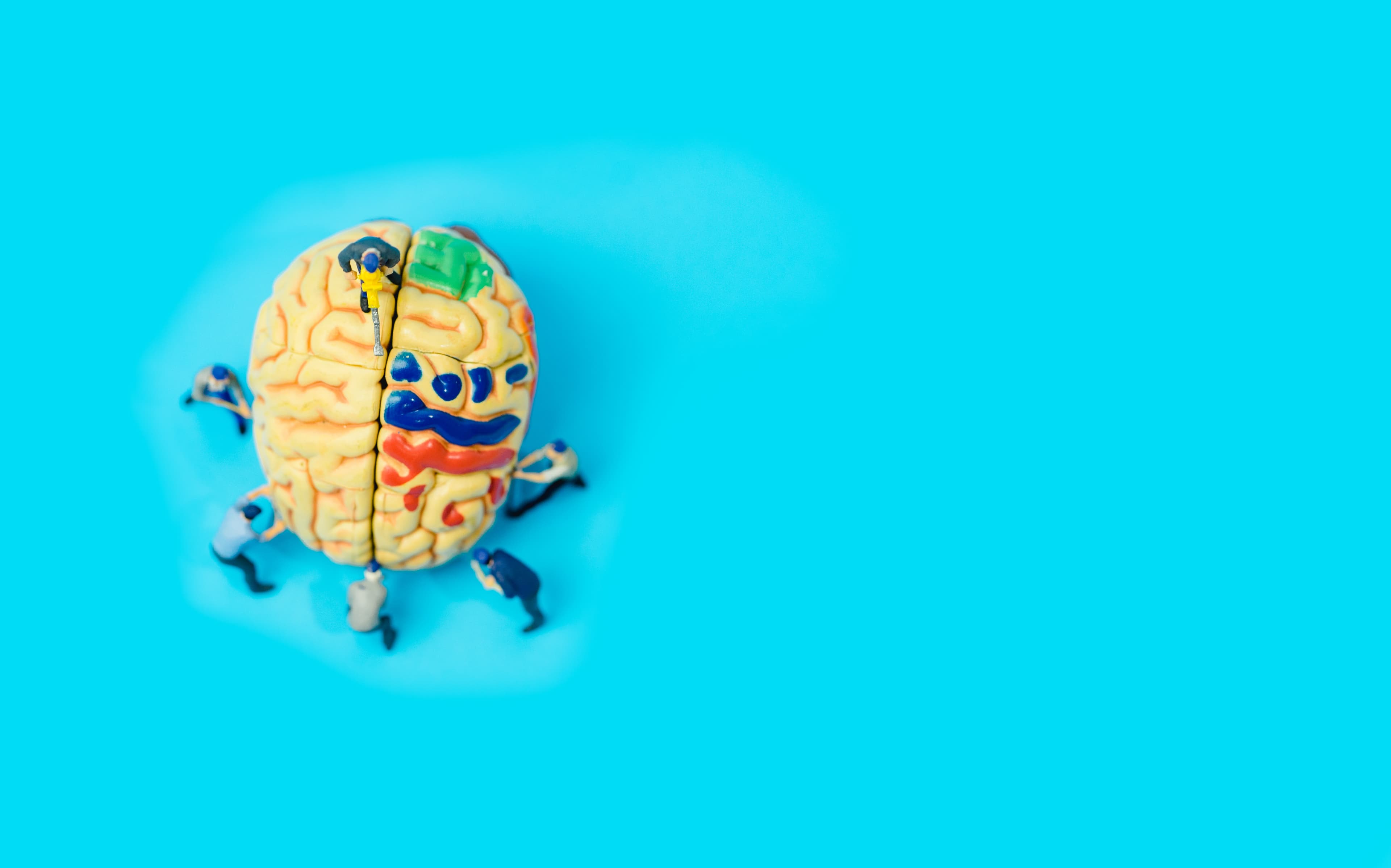 Kleine mensjes rond een brein