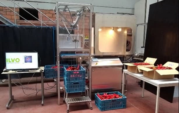 Food pilot demo