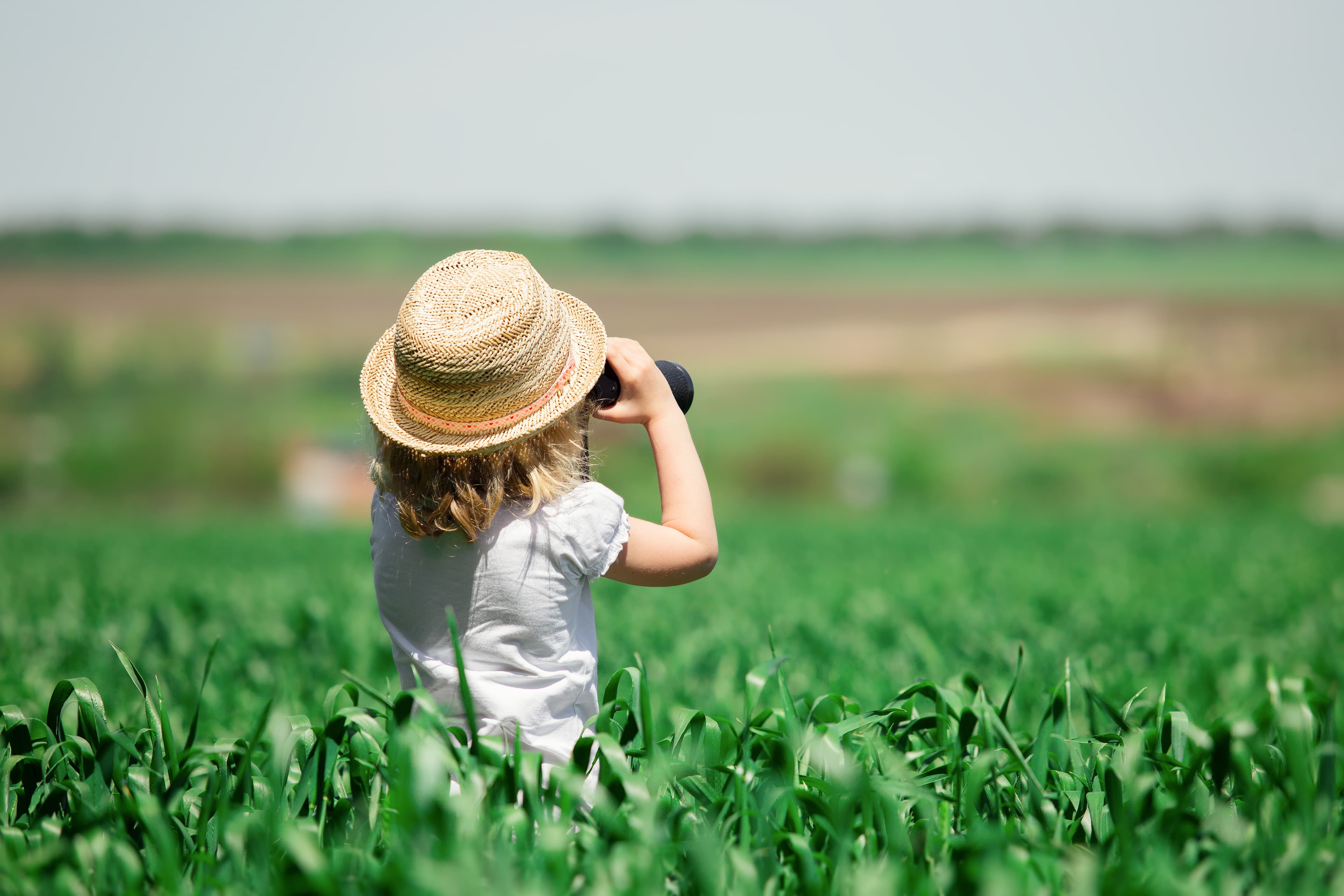 CropExplore niet gespiegeld