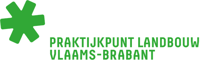 logo praktijkpunt
