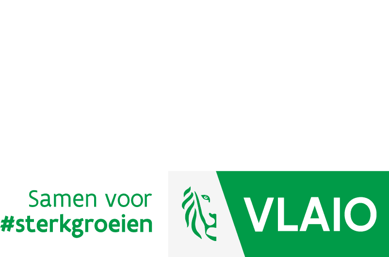 VLAIO sponsorlogo 2025