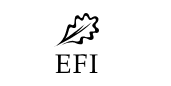 EFI logo