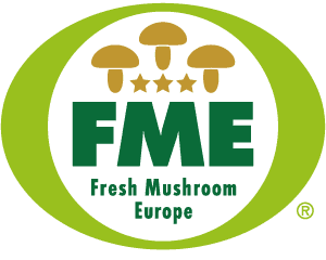 FME logo