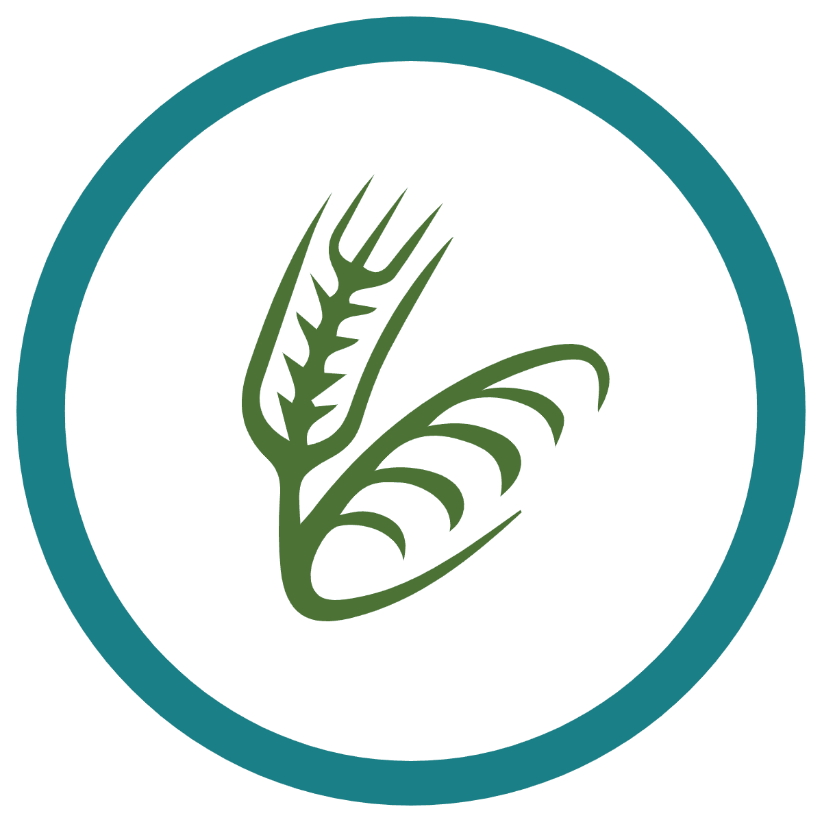 Afbeelding Project