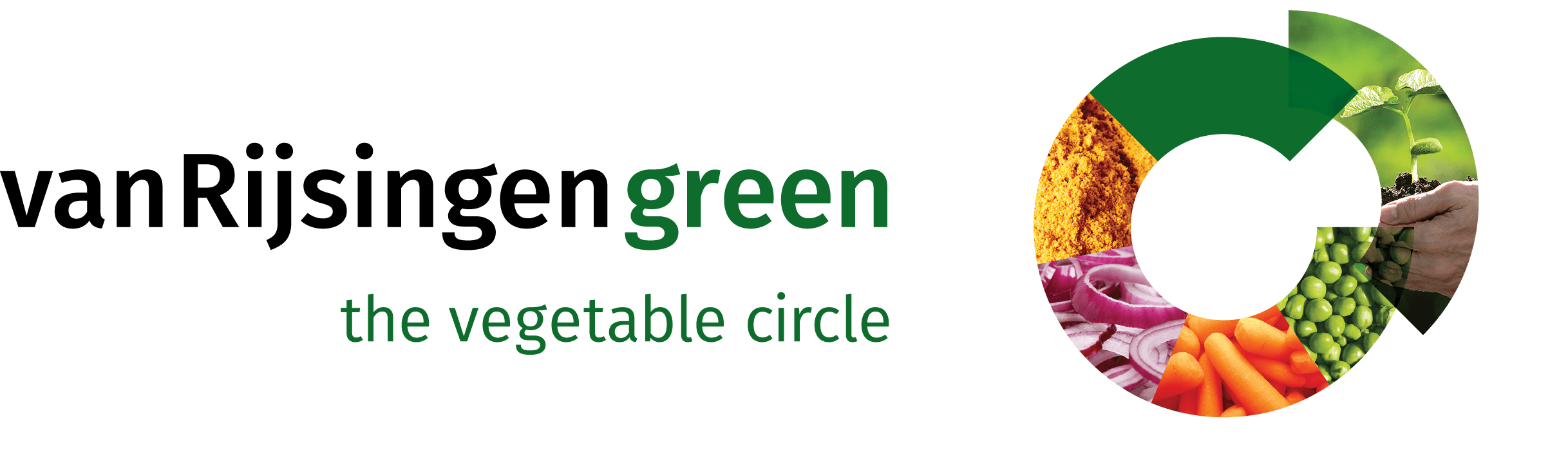 Logo VanRijsingenGreen