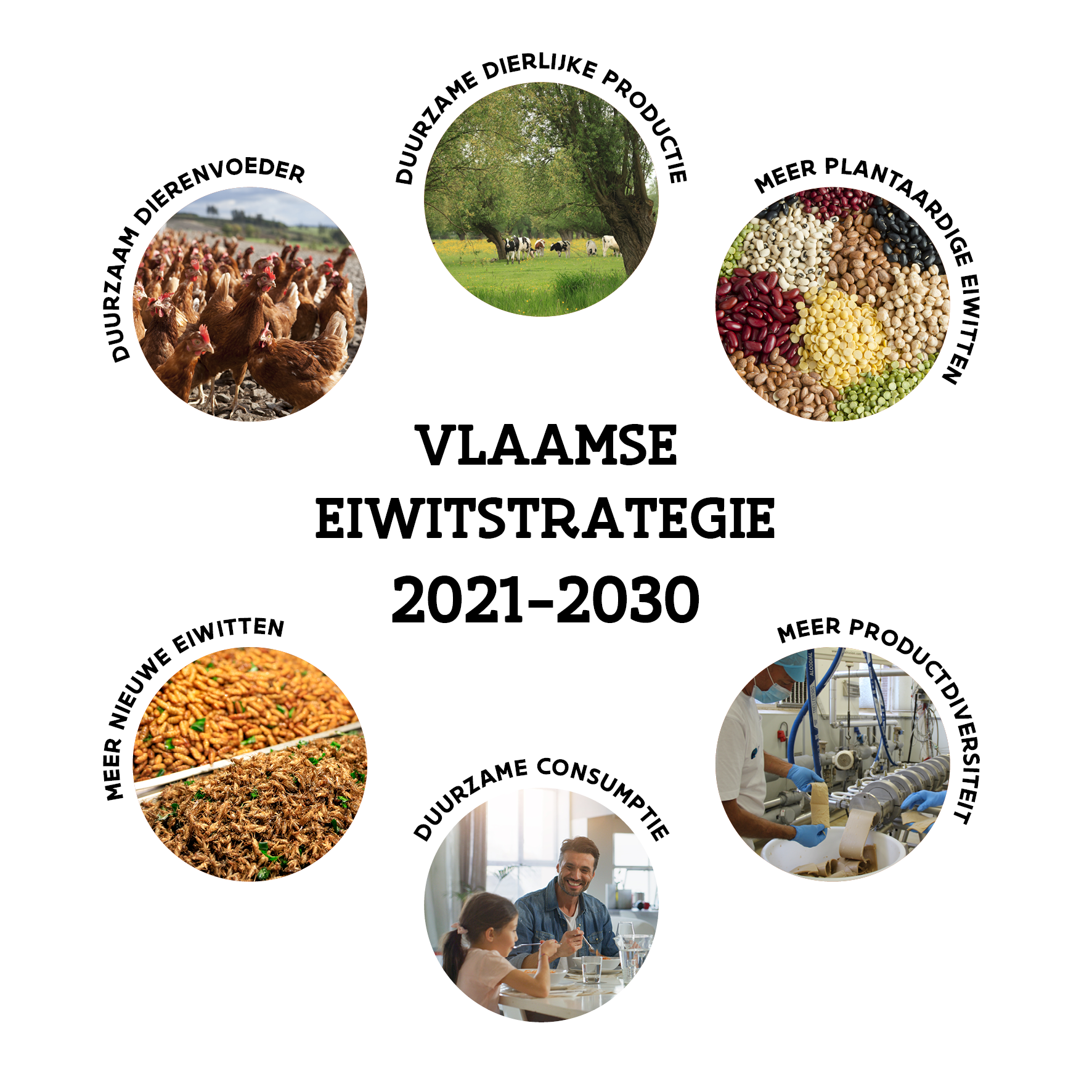 Vlaamse eiwitstrategie 2021-2030