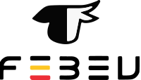 Febev logo