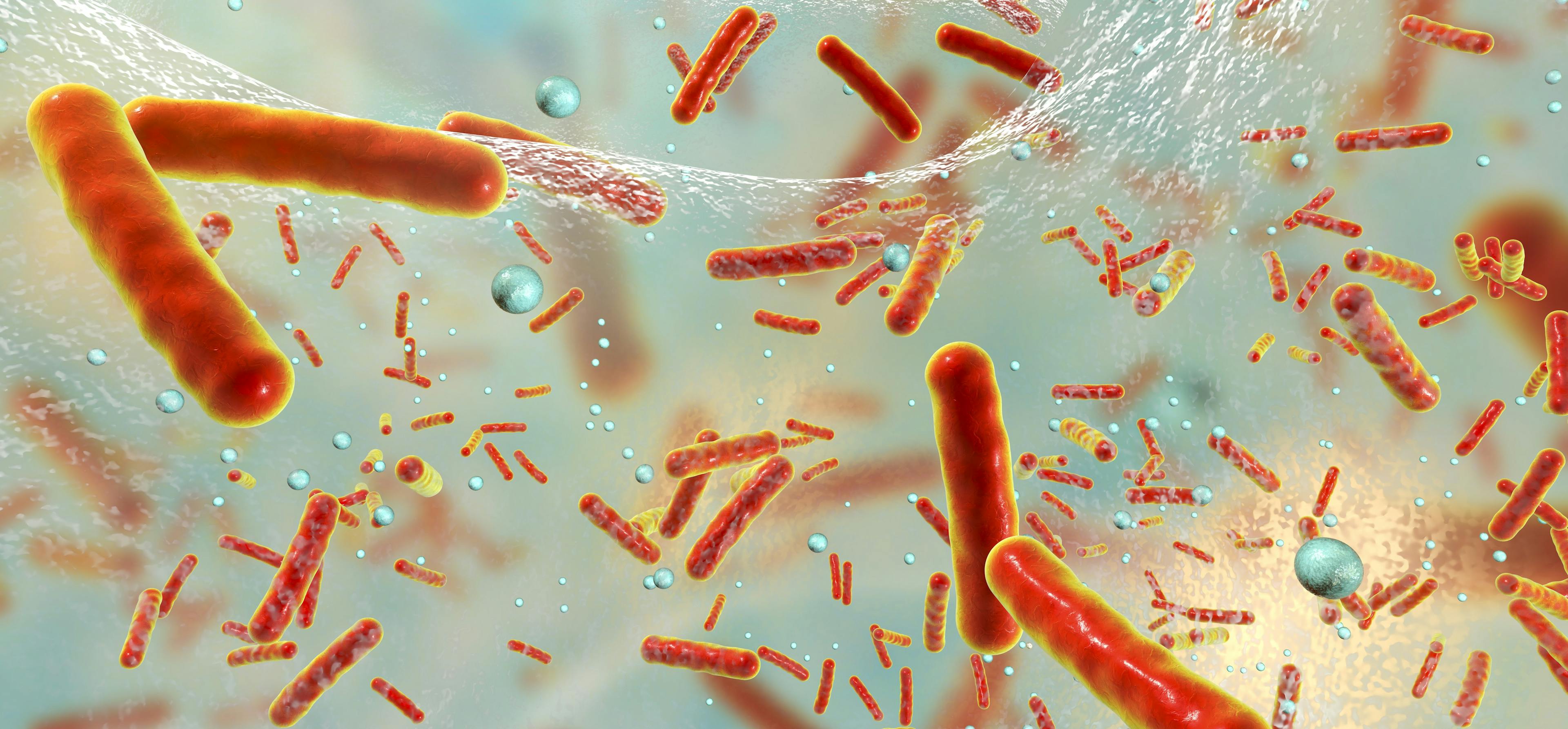 Bacteriën in biofilm - KILLFILM