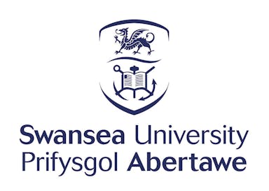 Logo Swansea University